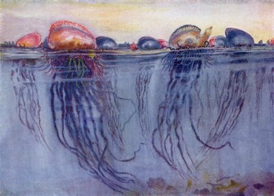 The Portuguese Man of War by Henry Charles Seppings Wright